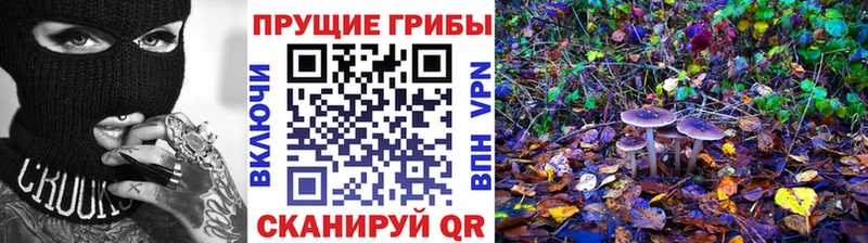 закладки  ссылка на мегу ссылка  Галлюциногенные грибы Cubensis  Тарко-Сале 
